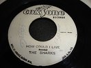Reggae '45 Record THE SHARKS How Could I Live / JEFF & MARCIA Words COXSONE