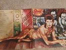 David Bowie Diamond Dogs