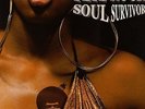 Pete Rock - Soul Survivor '98 2xLP US ORG Large Professor Grap Luva