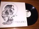 Debra Joyce Fly By Nite Private Press 70s Guitar Pop Folk LP NM