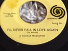 Rare Northern Soul Bobby Freeman I'll Never Fall In Love Again