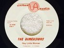 The Dimensions 45 RPM Record - Hey Little Womam & Summertime Rare Pych Garage