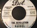 RACHEL AND THE REVOLVERS BRIAN WILSON RARE SURF CAL 45 DOT DJ THE REVO-LUTION