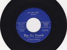 ROCKABILLY 45 RPM - ROCKY DAVIS ON BLUE SKY  RECORDS