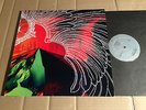 SIGHTINGS - THROUGH THE PANAMA - LP - ECSTATIC PEACE 25B - USA 2007
