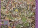 STONE ROSES - SO YOUNG 12