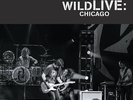 halestorm vinyl record store day into the wild live chicago sealed rare rsd