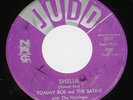 Tommy Roe & The Satins 7