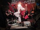 Flamenco Fever 