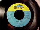 AD LIBS Johnny My Boy/I'm Just A Down Home Girl NORTHERN SOUL 45 Blue Cat HEAR