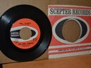 HUDSON BROTHERS REL.: THE NEW YORKERS; MR. KIRBY SCEPTER MINT- GARAGE, PSYCHE 45