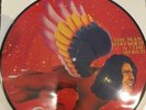 DAVID BOWIE PICTURE DISC THE MAN WHO SOLD THE WORLD RSD 2016 RECORD STORE DAY LP