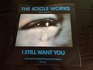 THE ICICLE WORKS 'I STILL WANT YOU' NUMBERED LIMITED EDITION 4-TRACK 10''
