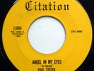 PAUL STEFEN & ROYAL LANCERS 45 Angel In My Eyes  Baby I Don't Care DOO WOP e6812