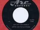 Artie & The Mustangs 45 Skip Hop & Wobble 1965 Rockabilly VG+ Canada Arc 1088