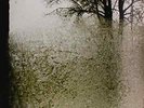 Bon Iver-For Emma Forever Ago  Vinyl / 12