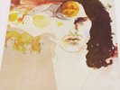 The Doors 2 LP Weird Scenes Inside the Gold Mine  original 1972 Australian press
