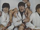 LP- THE BEATLES- 