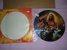 RARE 1979 TED NUGENT STATE OF SHOCK Limited Edition PICTURE DISC LP Vinyl Promo