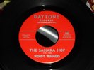 SURF GUITAR INSTRUMENTAL ROCKER- WOODY WAGGERS- 