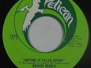 Crossover Soul/Funk 45 - Denise Keeble - Before It Falls Apart -Pelican VG++ mp3
