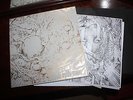 The Devil's Blood - In Tabula Rasa or Death - EU Rock 2LP 2013 Cloth Book RARE