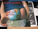 LP: Black Cat Bone - Am Arsch der Welt, heisses Cover, 1,--
