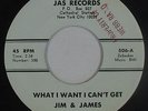 Northern/Deep Soul 45 - Jim & James - What I Want I Can't Get - JAS - VG++ mp3