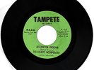 Rare Northern Soul - The Delreys Incorporated - Destination Unknown - 7 Inch