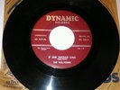 THE VOL-TONES If She Should Call 45 RARE ORIG Doo Wop DYNAMIC 108 VG+ NO RESERVE