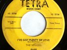 Doo Wop 45 The Neons I've got plenty love / evening shadows Tetra Orig