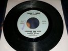 MINERAL WATER -FREE AND EASY / LEAVING THE CITY 45 FAMILY FARM RECORDS FF-1