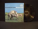 Bloodhound Gang ?– The Bad Touch ' 12'' MINT SPAIN PRESS