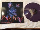 Pink Floyd Animals Live Berlin 1977 Purple Coloured Vinyl RP LP New
