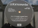 Whitesnake STILL OF THE NIGHT UK 12