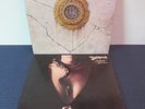 Whitesnake   2 Vinyl LP's   Slide It In & Self Titled   Excellent++