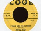 WARREN BROS I Wonder Where You Are Tonight on Cool Rockabilly Bop 45 Hear