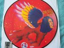 DAVID BOWIE THE MAN WHO SOLD THE WORLD  PIC DISC LP MIN BID  25.00