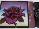 RARE VG++ THIN LIZZY 
