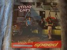 Stray Cats 