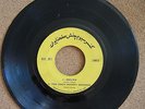Ultra  IRAN ONE & ONLY Chuck Berry - Too Much Monkey Business PRIVATE
