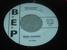 1964 The Blue Echoes ROSANNE Garage B.E.P. Worcester MA Private Only 500 Rare