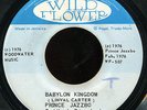 Prince Jazzbo - Babylon Kingdom JA Wild Flower 7