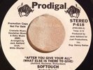 SOFTOUCH After You Give Your All 7