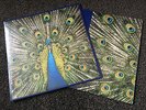 The Bluetones - Expecting To Fly - Sealed Vinyl LP + Download Card Slight Return