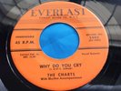 Original Doo Wop 45 : The Charts   Dance Girl   Why Do You Cry   Everlast 5002