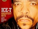 Greatest Hits  Ice-T Vinyl Record