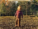 Brothers And Sisters  The Allman Brothers Band Vinyl Record