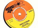 DENNIS ALCAPONE - SHADES OF HUDSON / SPANISH AMIGO - BIG SHOT