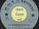 THE BATES SISTERS  - So Broken Hearted   - NOLA -  R & B  /  Soul    7